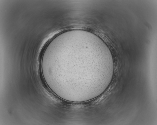 X0000110950342200907101312