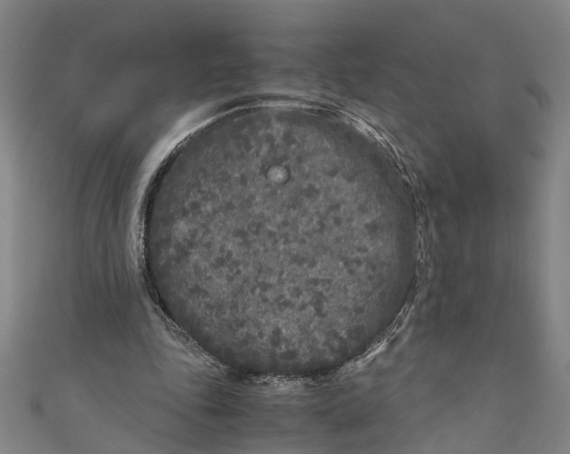 X0000110950343200907101312