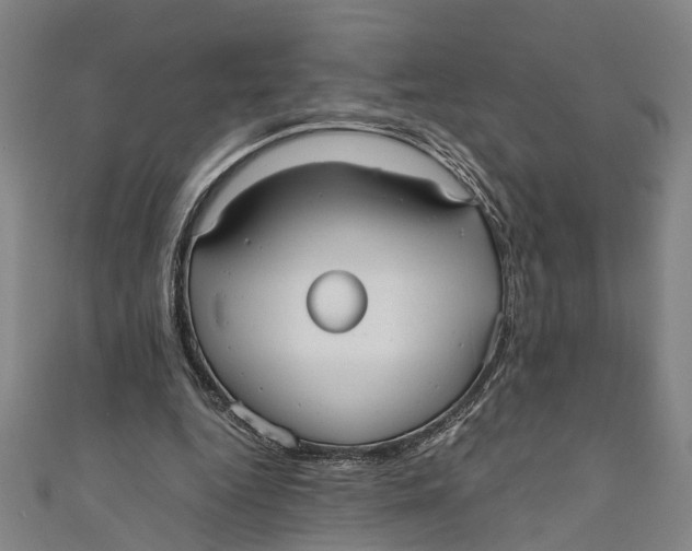 X0000110950344200907101312