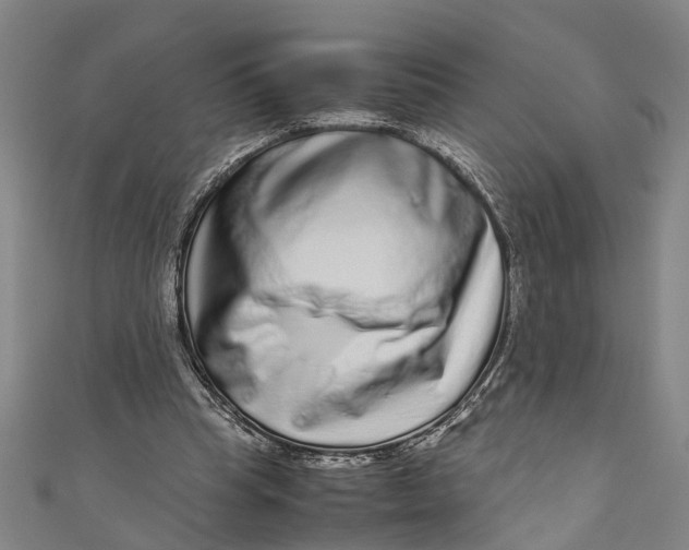 X0000110950345200907101312