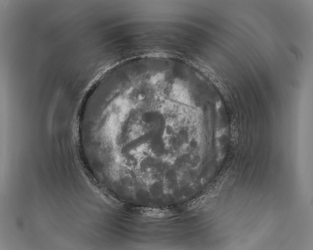 X0000110950347200907101312