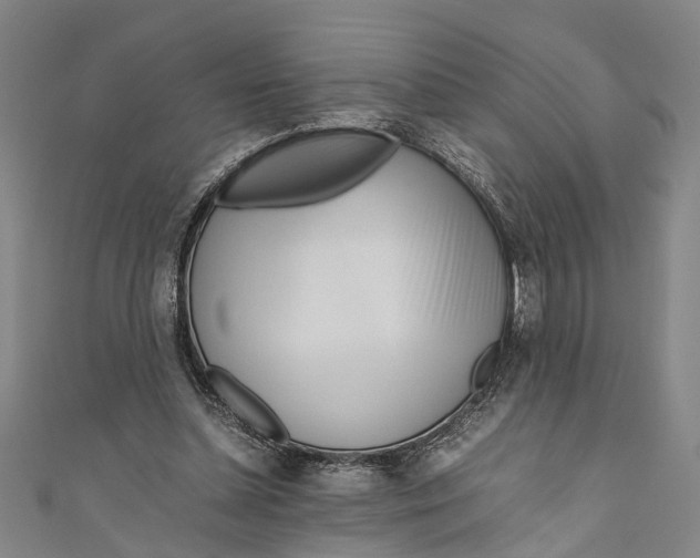 X0000110950348200907101312