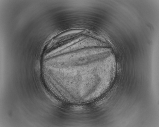 X0000110950349200907101312