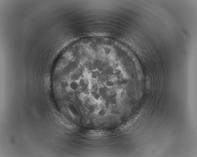 X0000110950351200907101312