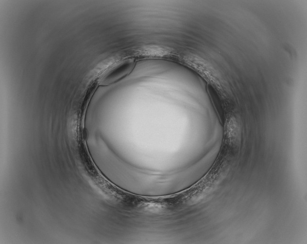 X0000110950352200907101312