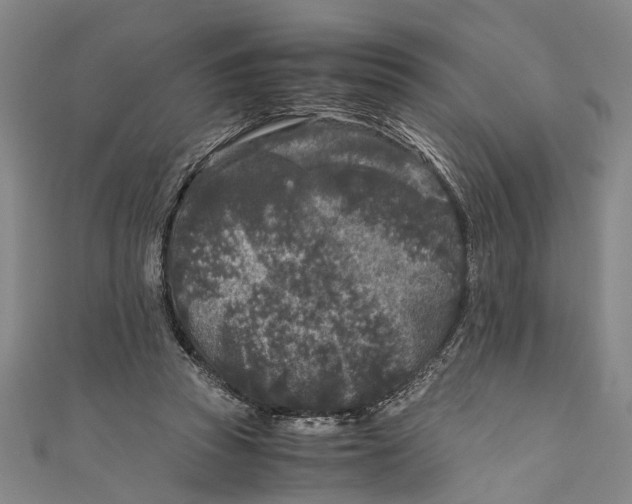 X0000110950353200907101312