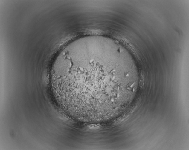 X0000110950355200907101312