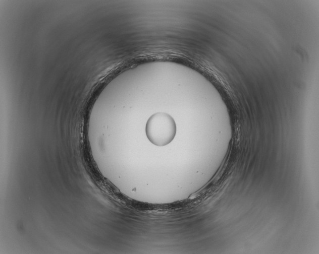 X0000110950356200907101312