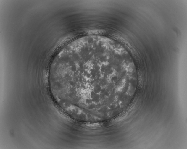 X0000110950357200907101312