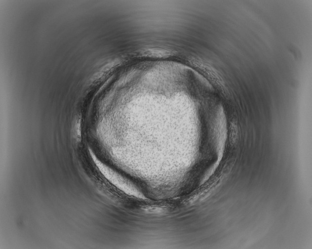 X0000110950358200907101312