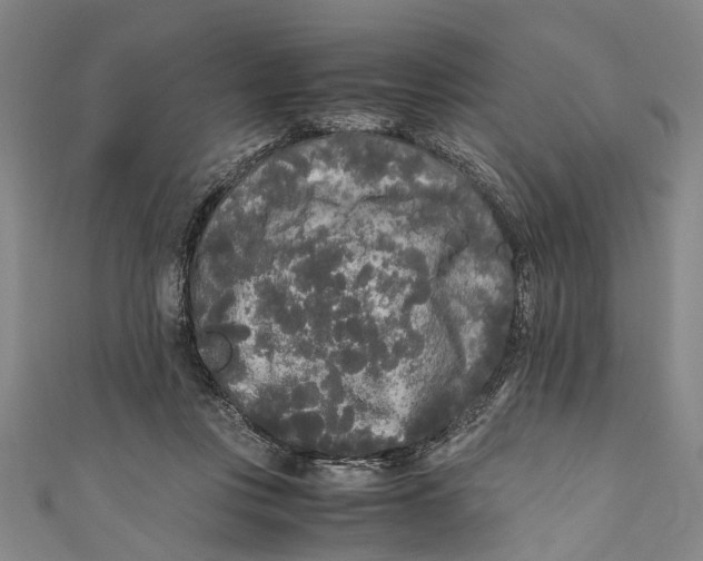 X0000110950359200907101312