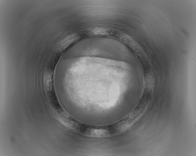 X0000110950360200907101312