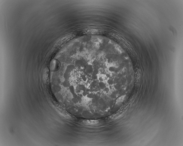 X0000110950361200907101312