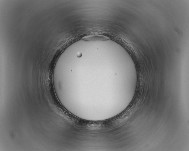 X0000110950362200907101312