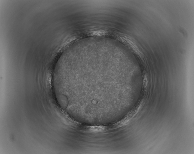 X0000110950363200907101312