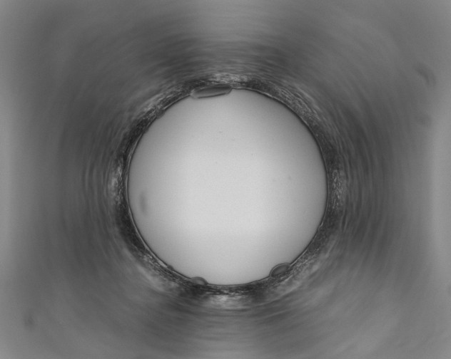 X0000110950364200907101312