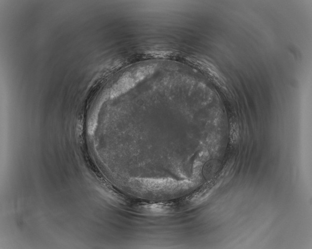 X0000110950365200907101312