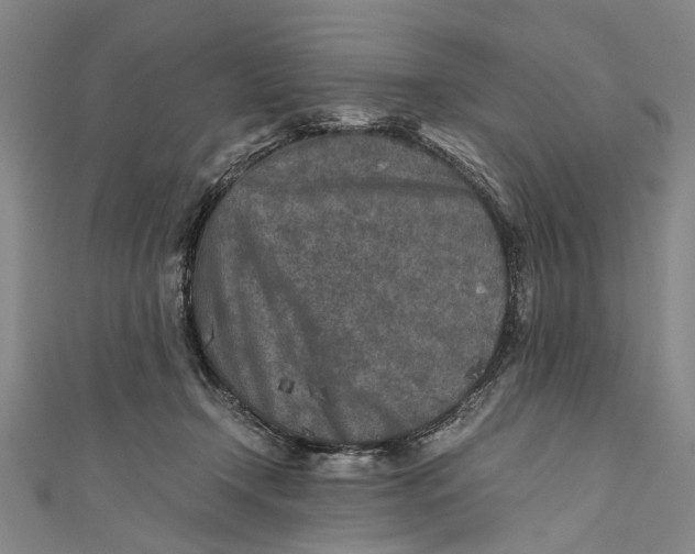 X0000110950366200907101312