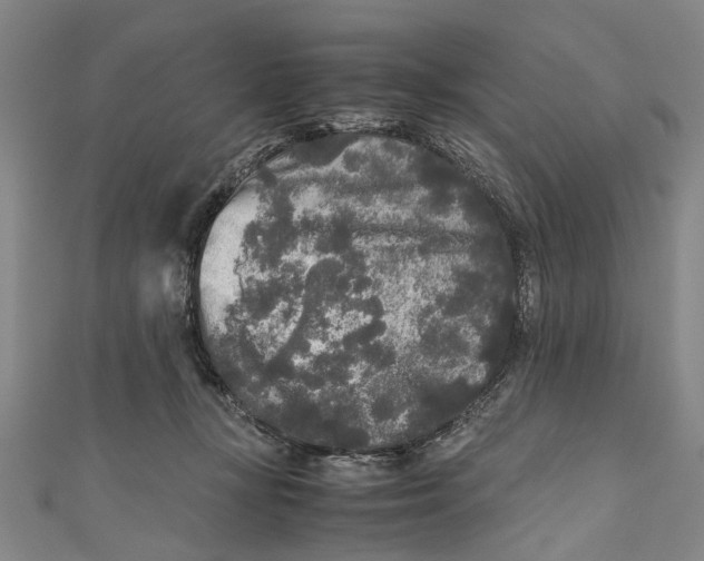 X0000110950367200907101312