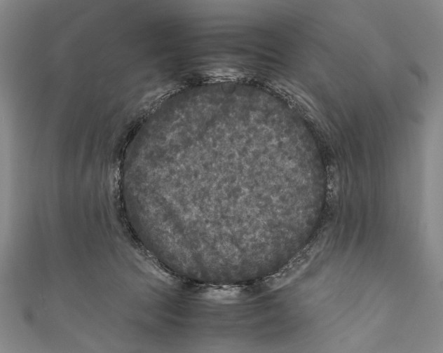 X0000110950369200907101312