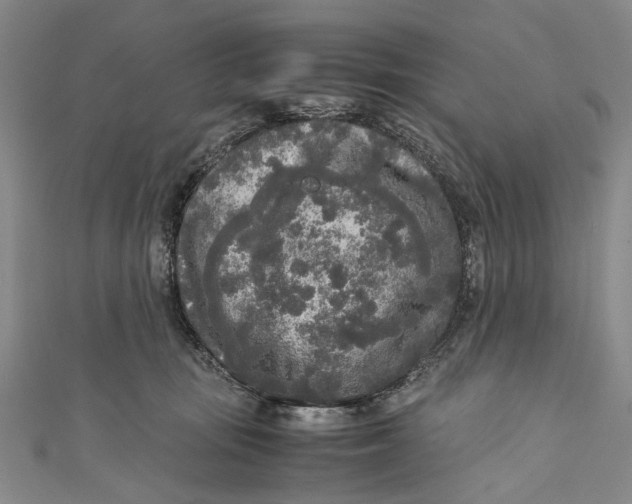 X0000110950371200907101312