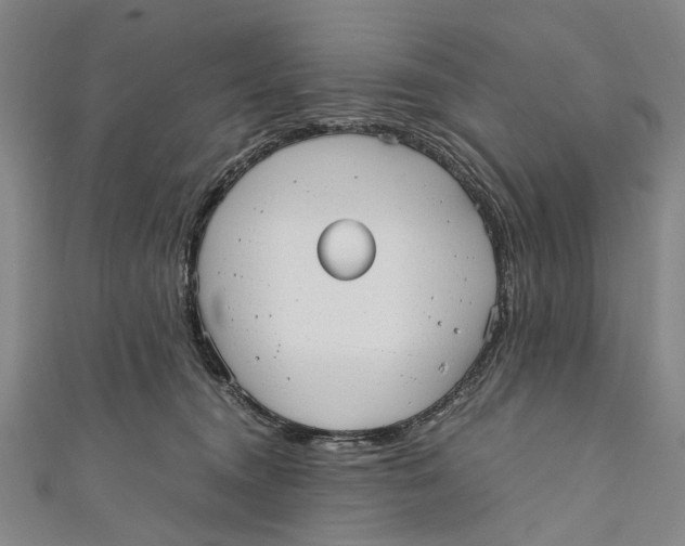 X0000110950372200907101312