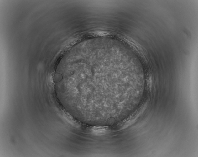 X0000110950373200907101312