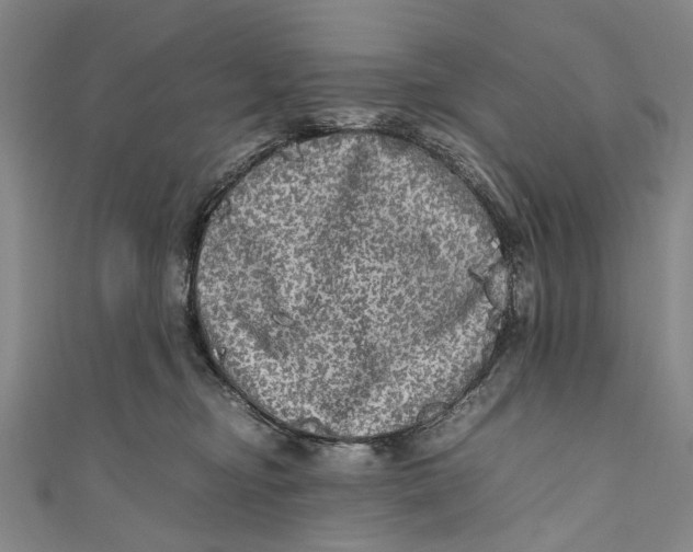 X0000110950374200907101312