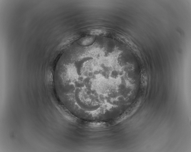 X0000110950375200907101312