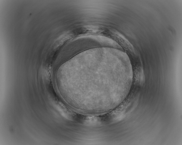 X0000110950376200907101312