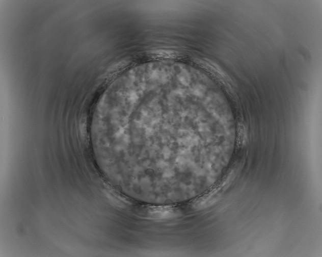 X0000110950377200907101312