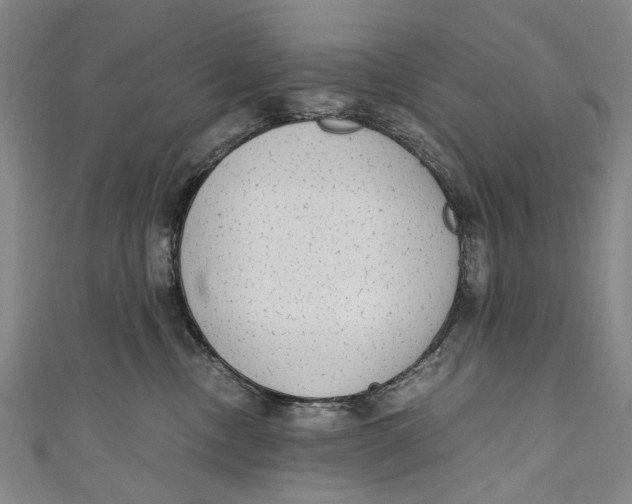 X0000110950378200907101312