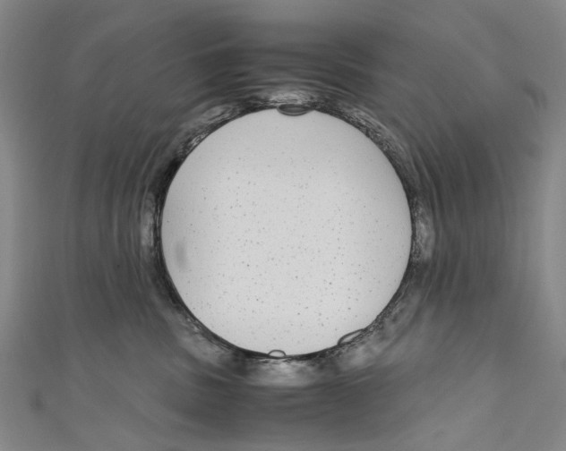 X0000110950379200907101312