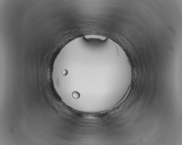 X0000110950380200907101312