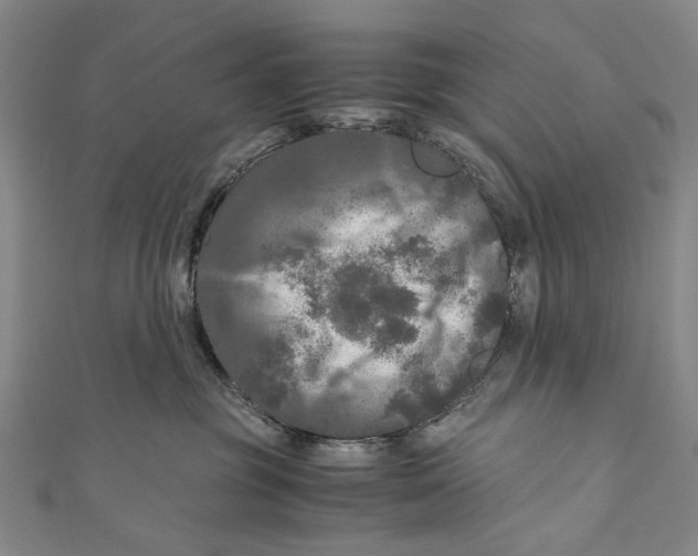 X0000110950381200907101312