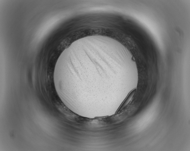 X0000110950382200907101312