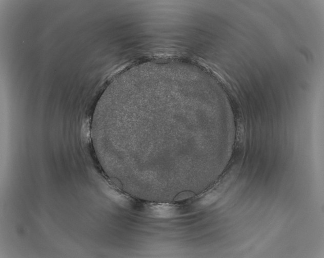 X0000110950383200907101312