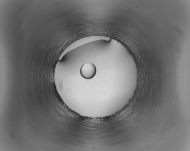 X0000110950384200907101312