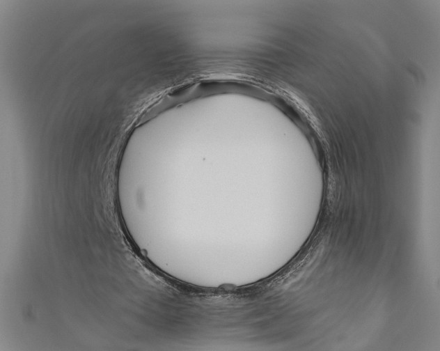 X0000110950385200907101311