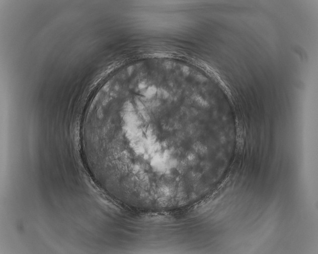 X0000110950386200907101311