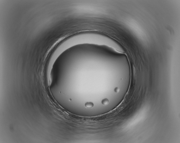 X0000110950387200907101311