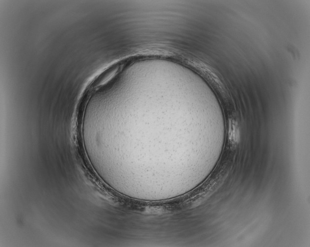 X0000110950388200907101311