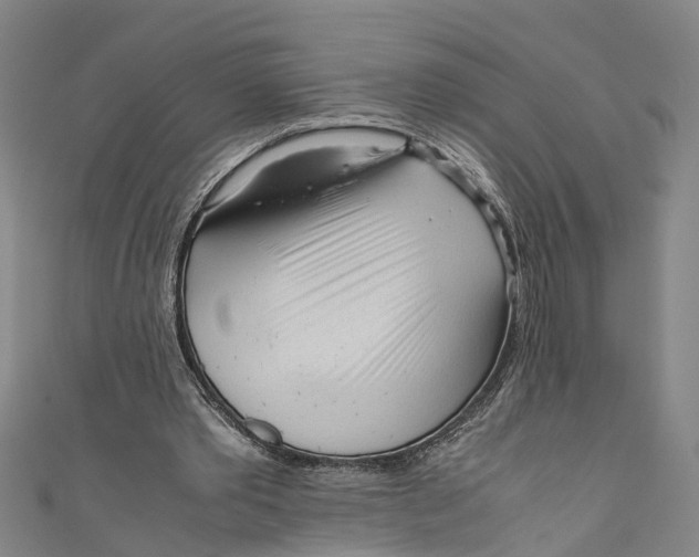 X0000110950389200907101311