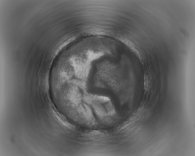 X0000110950390200907101311