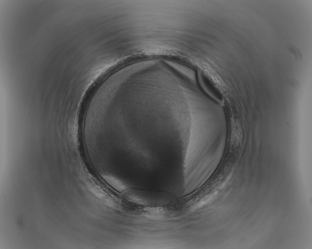 X0000110950391200907101311