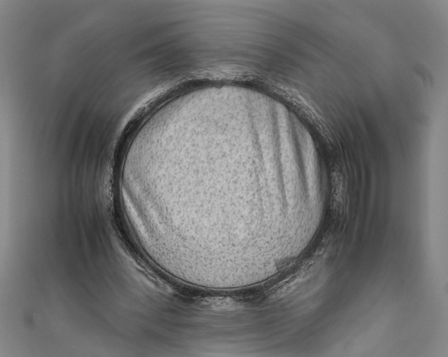 X0000110950392200907101311