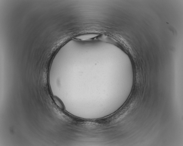 X0000110950393200907101311