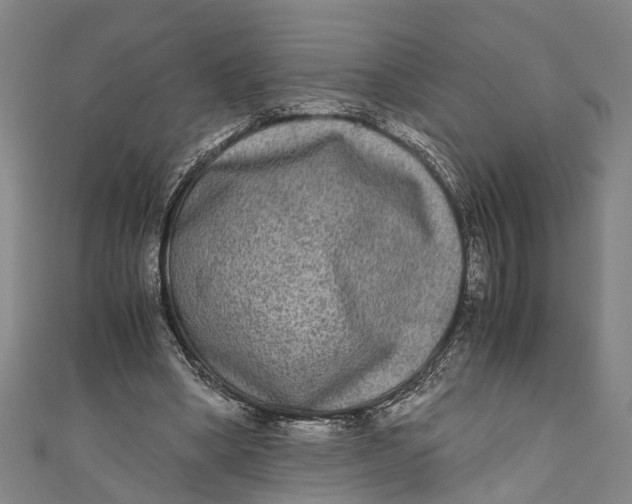 X0000110950394200907101311