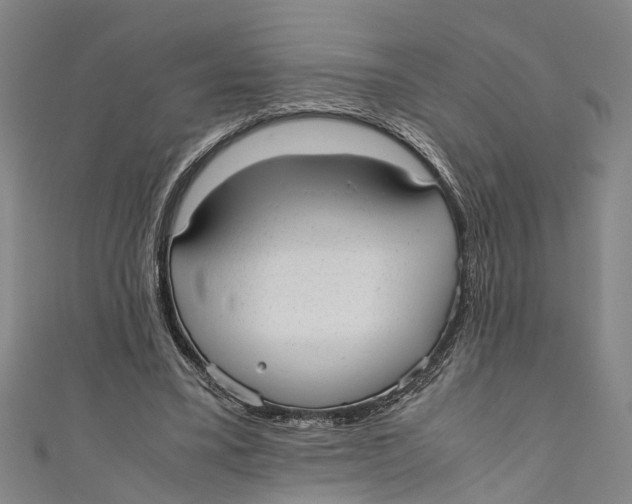 X0000110950395200907101311