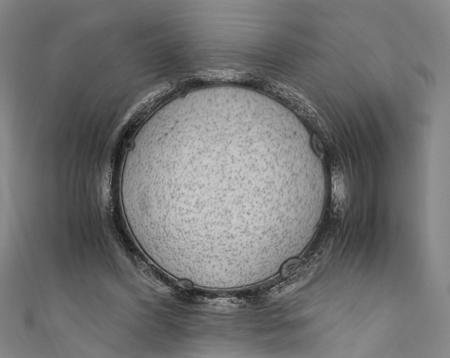 X0000110950396200907101311